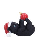 Jingle Paws Cats Out Of Stock