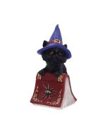 Hocus 12.7cm Cats Gifts Under £100