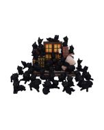 The Witches Litter 24.8cm (Display of 36) Cats Flash Sale Day 4