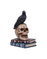 Raven's Spell 10.3cm Ravens RRP Under 10