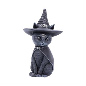 Purrah 13.5cm Cats Best Sellers