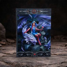 Dragon Mage Journal (AS) 17cm