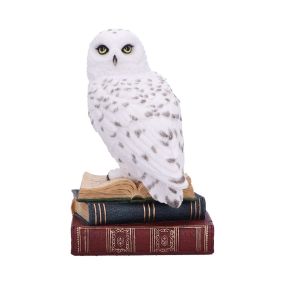 Library of Wisdom 17cm Owls Coming Soon Products