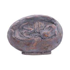 Tyrannosaurus Rex Egg Dinosaurs Father's Day
