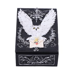 Owl Messenger Box 14cm Owls Sale Items