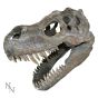 Tyrannosaurus Rex Skull Small 39.5cm B/strap Dinosaurs Top 200 None Licensed