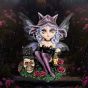 Midnight Fae 14cm Fairies Stock Release Spring 2025