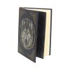 Embossed Journal The Wild One (LP) 17cm Wolves Gifts Under £100