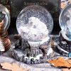Guardian of the North Snowglobe (LP) 14.5cm Wolves Christmas Gift Guide Snow Globes