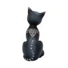 Mystic Kitty 26cm Cats Halloween RRP Above 20
