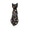 Felis 26cm Cats Last Chance to Buy