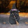 Lucky Black Cat 12cm Cats NEMESIS NOW | EASTER SALE