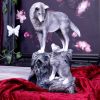 Guidance 25cm (LP) Wolves Out Of Stock
