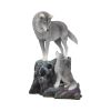 Guidance 25cm (LP) Wolves Out Of Stock