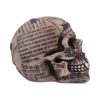 Draculas Tale 18.5cm Skulls Halloween RRP Above 20