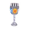 Goblet of the Brave 17cm History and Mythology Gifts Under £100