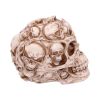 Skull of Skulls (JR) 18cm Skulls Halloween RRP Above 20