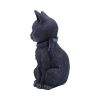 Malpuss 10cm Cats Best Sellers
