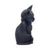 Malpuss 10cm Cats Best Sellers