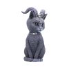 Pawzuph 26.5cm (Large) Cats Top 200 None Licensed