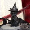 Purrah 13.5cm Cats Best Sellers