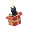 Present Cat Hanging Ornament (LP) 9cm Cats Sale Items