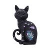 Nine Lives 22cm Cats Gifts Under £100