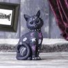 Bad to the Bone 22cm Cats NEMESIS NOW | EASTER SALE