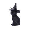 Purrah 30cm (Large) Cats Top 200 None Licensed