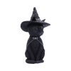 Purrah 30cm (Large) Cats Top 200 None Licensed