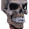 Metallica Pushead Skull 23.5cm Band Licenses Licensed Rock Bands