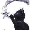 Luna Companion 18.8cm Cats Top 200 None Licensed