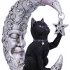 Luna Companion 18.8cm Cats Top 200 None Licensed