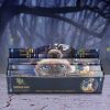 Love Incense Sticks Frangipani (LP) Cats Flash Sale Day 4