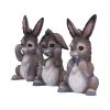 Three Wise Donkeys 11cm Animals Gifts Under £100