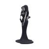 Eternal Sisters 23cm Skeletons Halloween RRP Above 20