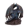 Protector of Magick (LP) Bronze 17.5cm Dragons Dragon Figurines