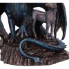 Protector of Magick (LP) Bronze 17.5cm Dragons Dragon Figurines