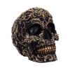 Renaissance 19cm Skulls Top 200 None Licensed