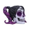 Drop Dead Gorgeous - Myths and Magic 20.5cm Skulls Halloween RRP Above 20