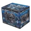 Drop Dead Gorgeous - Solve and Coagula 20.5cm Skulls Halloween RRP Above 20