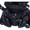 Asmoadeus 10cm Animals Best Sellers