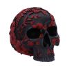 Age of Opium 18.5cm Skulls Gifts Under £100