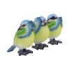 Three Wise Blue Tits 8cm Animals NEMESIS NOW | EASTER SALE