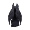 Griffael (Large) 22.5cm Animals Gifts Under £100