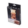 Highland Cow Foldable Lamp 21cm Animals Top 200 None Licensed