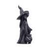 Little Souls - Dazzle 12.5cm Witches Top 200 None Licensed