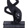Enchant 17cm Cats Spell Cats