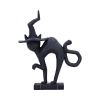 Hex 15.2cm Cats Spell Cats