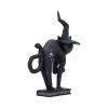 Hex 15.2cm Cats Spell Cats